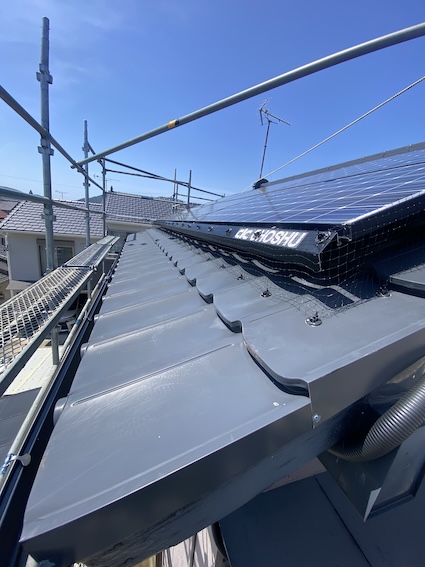 金属屋根　太陽光パネル　鳥の巣