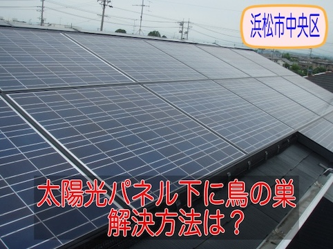 浜松市中央区でカラーベスト屋根の太陽光パネル下に鳥の巣被害、対策を無料見積もりしました