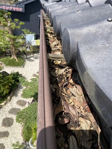 雨樋　落ち葉　雑木林　清掃　雑草　浜松市