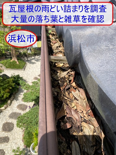 浜松市で瓦屋根の雨どい詰まりを調査｜北側の雑木林から飛来した大量の落ち葉と雑草を確認
