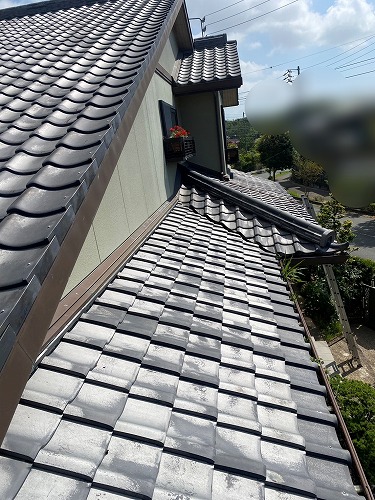 雨樋　落ち葉　雑木林　清掃　雑草　浜松市
