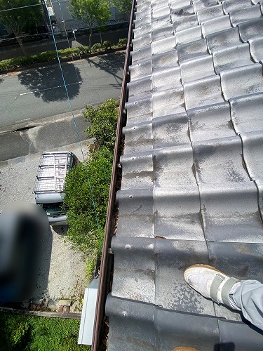 雨樋　落ち葉　雑木林　清掃　雑草　浜松市