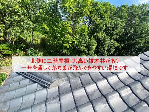 雨樋　落ち葉　雑木林　清掃　雑草　浜松市