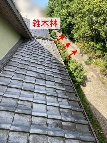 雨樋　落ち葉　雑木林　清掃　雑草　浜松市