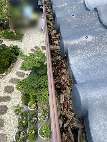 雨樋　落ち葉　雑木林　清掃　雑草　浜松市