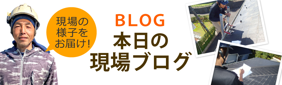 浜松市中央区、浜松市浜名区、磐田市エリア、その他地域のブログ