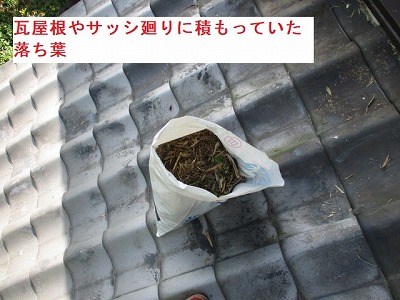 落ち葉　清掃　雨樋