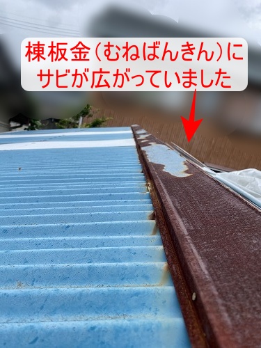 ポリカ　物置小屋　台風　棟板金サビ　浜松市