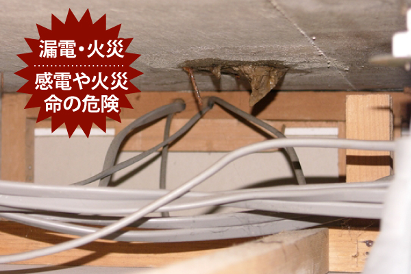 感電や火災、命の危険