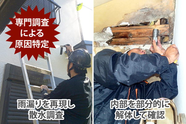 専門調査による原因特定