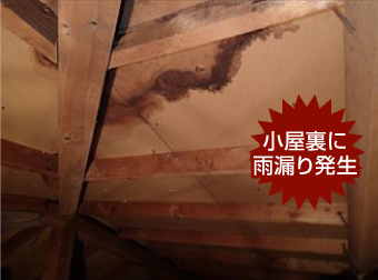 小屋裏に雨漏り発生