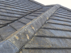 苔の生えた屋根