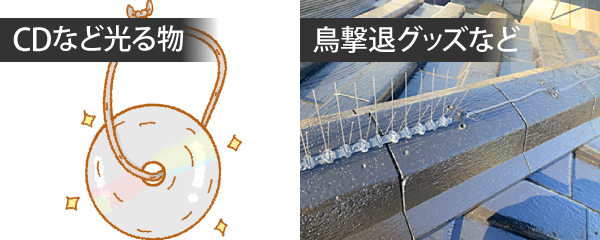 CDなど光る物や、鳥撃退グッズなど