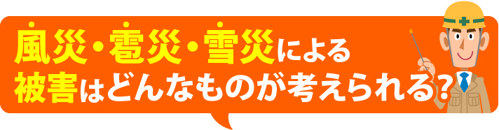 風災・雹災・雪災による被害はどんなものが考えられる？