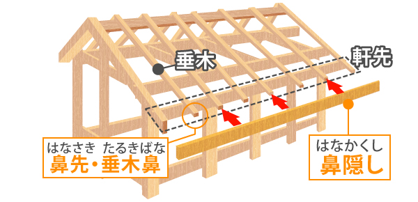 鼻先・垂木鼻と鼻隠し