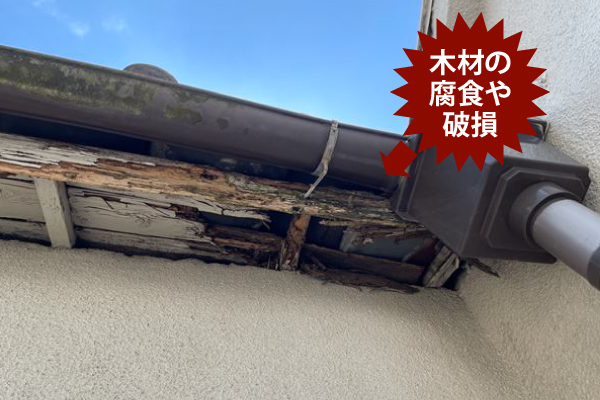 木材の腐食や破損