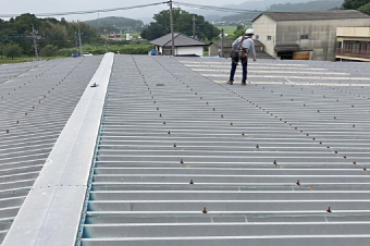 倉庫屋根に上り雨漏り点検する様子